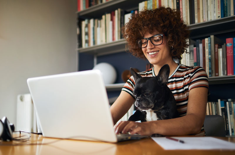Person interviewing on a laptop with a dog on their lap