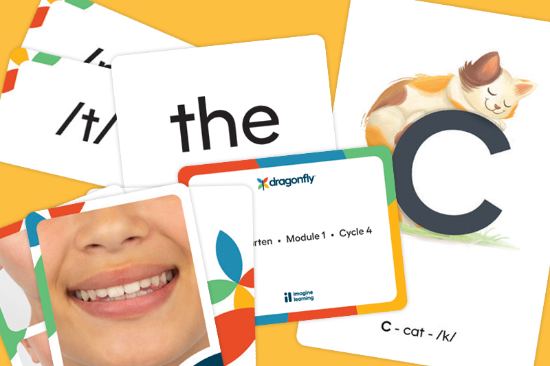 Sample flashcard manipulatives.