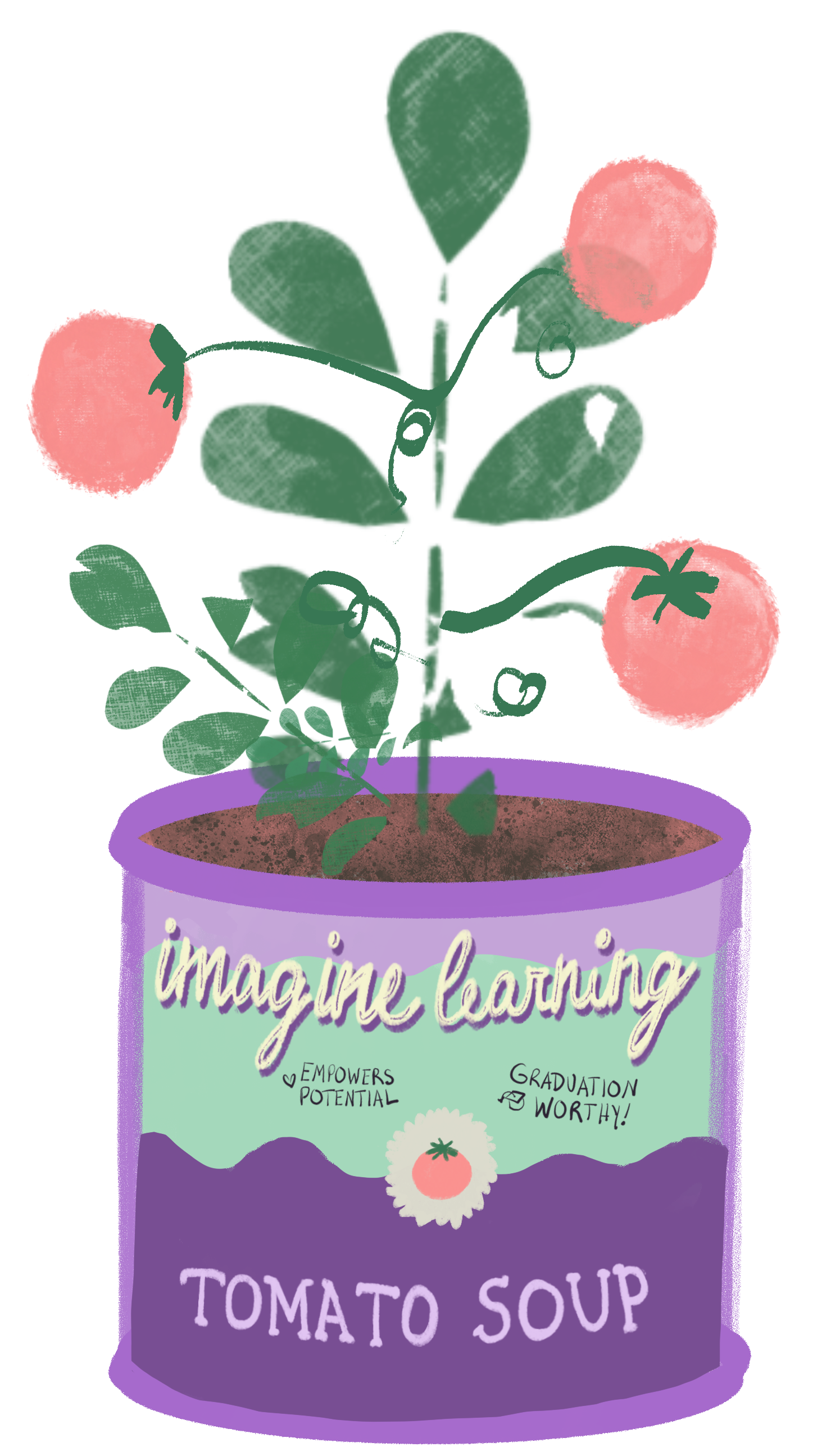 Full grown tomato plant in Imagine Learning tomato soup can